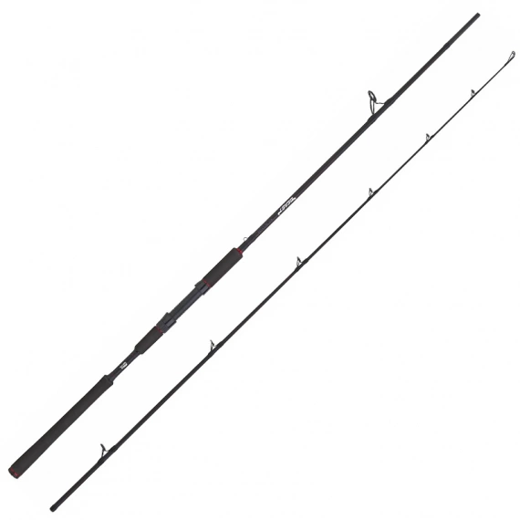Abu Garcia Beast Pike 862XXH 40-140g Spinning